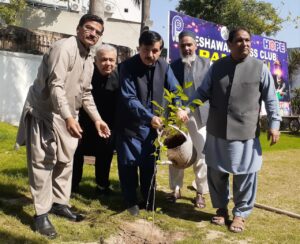 Tree Plantation Key to Combating Environmental Threats: M. Riaz