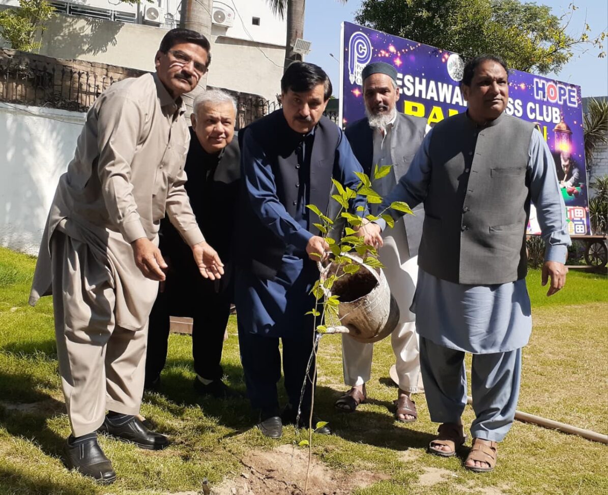 Tree Plantation Key to Combating Environmental Threats: M. Riaz