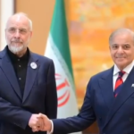 PM Shehbaz Meets Iranian Delegation at Islamabad Talks