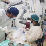 Hayatabad Medical Complex’s Eye Bank makes history by performing 29 successful cornea transplants