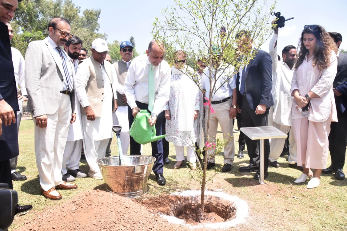 musadik malik plantation drive