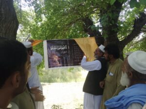 ahmad ali