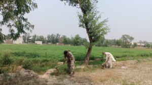 farmers pakistan