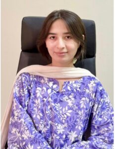 The Menace of Mushrooming Hotel Industry in Gilgit-Baltistan