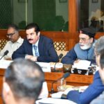 Greenfield Airport in DI Khan Can Support Southern Districts: Governor Faisal Karim