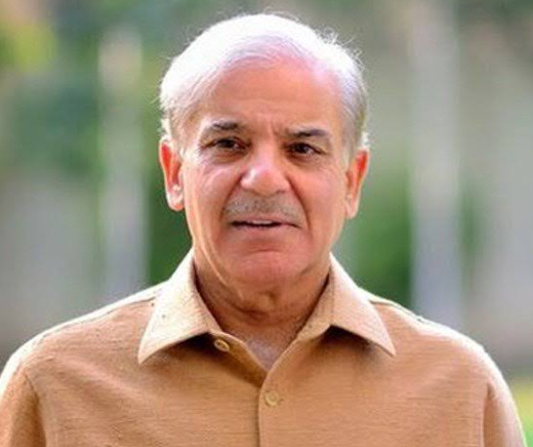 PM Shehbaz Sets November Deadline for Alibaba-Backed AI Projects